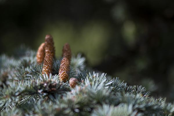 Nature 16