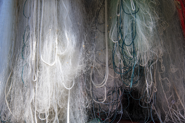 Couleur 12