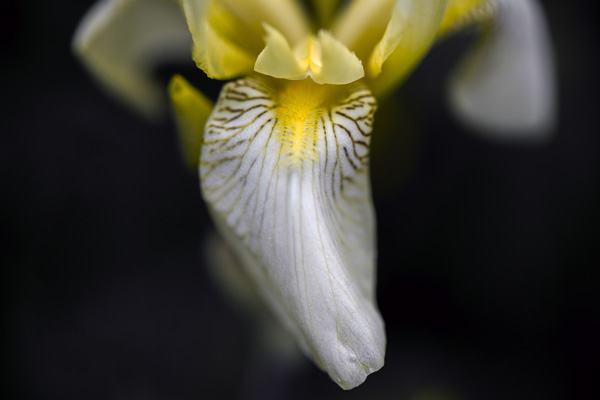 Nature 12