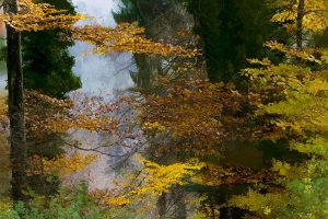 Paysage 2