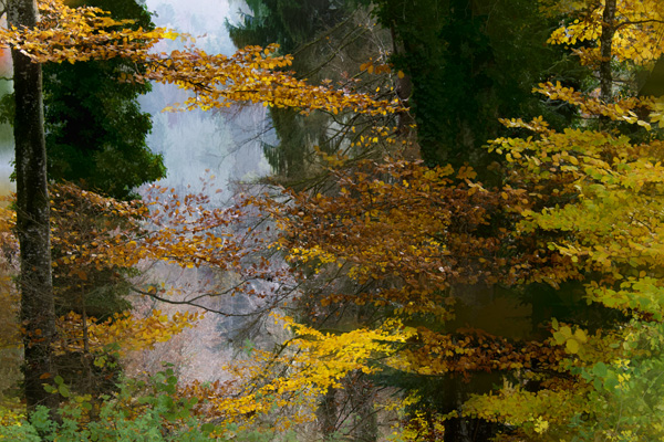 Paysage 2