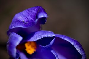 Nature 9