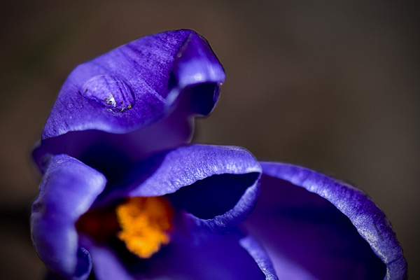 Nature 9