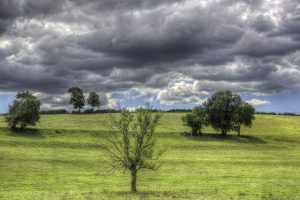 HDR 5