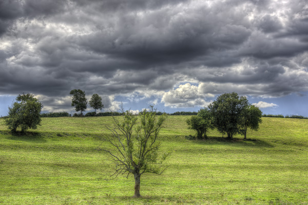 HDR 5