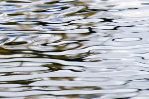 Reflet 8