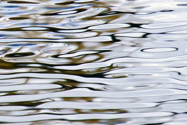 Reflet 8
