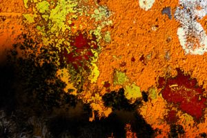 Abstrait 13