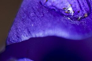 Nature 9