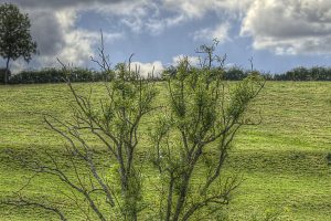 HDR 5