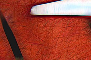 Abstrait 6