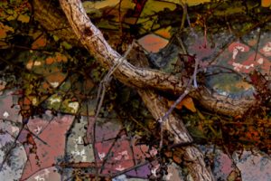 Abstrait 16