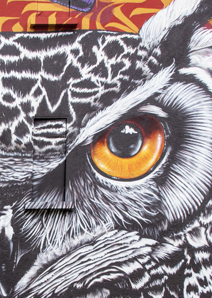 Graphisme 24 ╬ – Image 2